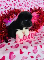 processed/3f5d368d-a225-48b2-9bac-dc5bdb091ceb/listing/e6d186f7-8997-4ddc-8ea2-4a639f624da1/e44de8c3-08c6-4d70-b366-80364ff838fa