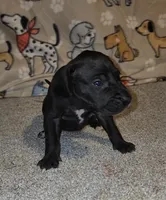 processed/3f5fd0eb-4280-40ad-aad5-e058184b29cf/listing/0cf2a3d1-dd0a-4c89-b21a-423b38804043/50d1828b-bf22-43a8-b858-cc884bf4c213