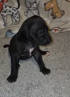 processed/3f5fd0eb-4280-40ad-aad5-e058184b29cf/listing/0cf2a3d1-dd0a-4c89-b21a-423b38804043/59b1420b-0f57-4cf3-8670-b2a4ff752270