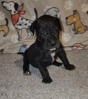 processed/3f5fd0eb-4280-40ad-aad5-e058184b29cf/listing/0cf2a3d1-dd0a-4c89-b21a-423b38804043/74214cf0-eb32-4e1f-8d3a-c3e53ceb1661