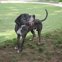 processed/3f5fd0eb-4280-40ad-aad5-e058184b29cf/listing/5dfaa204-7ec4-4046-ae61-ea6b571d6fa9/072ca14e-1562-49ff-ac92-7d15ce5a09de