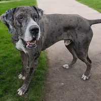 processed/3f5fd0eb-4280-40ad-aad5-e058184b29cf/listing/5dfaa204-7ec4-4046-ae61-ea6b571d6fa9/32619b4d-c215-4568-a23c-0b0da9d4b61b