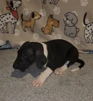 processed/3f5fd0eb-4280-40ad-aad5-e058184b29cf/listing/6bc459a4-4998-40aa-903c-d6bb6ea5f844/b86b007d-6457-4306-899d-9ffdd2bf505e