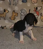 processed/3f5fd0eb-4280-40ad-aad5-e058184b29cf/listing/6bc459a4-4998-40aa-903c-d6bb6ea5f844/d5a5df31-04ee-4089-ac44-9ea59826a210