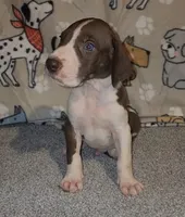 processed/3f5fd0eb-4280-40ad-aad5-e058184b29cf/listing/c959d7b6-2b9c-4224-9758-7c4a92e74d2b/ab8769e9-e1b2-4a97-864e-82e56228e7f0