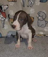 processed/3f5fd0eb-4280-40ad-aad5-e058184b29cf/listing/c959d7b6-2b9c-4224-9758-7c4a92e74d2b/c096f0d6-4da7-41d5-aa28-e24052b98b7c