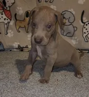 processed/3f5fd0eb-4280-40ad-aad5-e058184b29cf/listing/d2b46367-8ad3-460e-976c-e303db63392f/1e12329e-00ad-48b8-b497-d3fe1d09f450