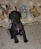 processed/3f5fd0eb-4280-40ad-aad5-e058184b29cf/listing/ee7d948d-1bca-4d15-801b-e6b96b6bea3d/088e393d-83dc-4e19-90f5-eed62c408117