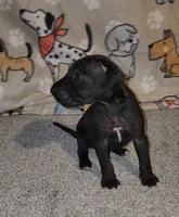 processed/3f5fd0eb-4280-40ad-aad5-e058184b29cf/listing/ee7d948d-1bca-4d15-801b-e6b96b6bea3d/7ee5db8e-ab5d-4fa6-8db2-589463f66729