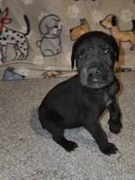 processed/3f5fd0eb-4280-40ad-aad5-e058184b29cf/listing/ee7d948d-1bca-4d15-801b-e6b96b6bea3d/c394d6e5-9574-4b33-8aff-26ffd51bf515