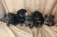 processed/3f685788-a579-4b94-b80e-c78eba9d44a0/facility/0ed8b3fd-3956-4106-82cd-5b31fd1311da