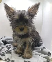 processed/3f685788-a579-4b94-b80e-c78eba9d44a0/facility/1519e860-3a78-4724-873b-a67d7db4ca16