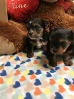 processed/3f685788-a579-4b94-b80e-c78eba9d44a0/facility/2bb10e88-3859-413d-8922-ca5ebfb7af19