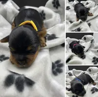 processed/3f685788-a579-4b94-b80e-c78eba9d44a0/facility/2ddb1ae9-3f5d-4b8f-938f-844412081123