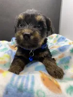 processed/3f685788-a579-4b94-b80e-c78eba9d44a0/facility/b2d4df04-0821-42c7-b146-bc507a58d2cc