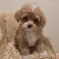 processed/3f6f6a22-ed42-4c9b-97fd-1aca807d6a03/facility/0450e46e-f3ff-4aba-b897-a8e022d3246b