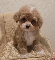 processed/3f6f6a22-ed42-4c9b-97fd-1aca807d6a03/facility/0450e46e-f3ff-4aba-b897-a8e022d3246b