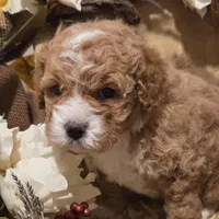 processed/3f6f6a22-ed42-4c9b-97fd-1aca807d6a03/facility/2911ff15-1515-42f3-bc09-9b6edd055874