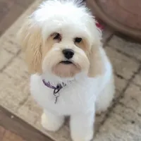 processed/3f6f6a22-ed42-4c9b-97fd-1aca807d6a03/facility/3006294d-f595-4e28-a1eb-0b04843d1153