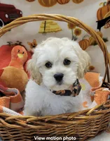 processed/3f6f6a22-ed42-4c9b-97fd-1aca807d6a03/facility/3b83f338-9fa3-4fde-b5fb-0cdea81535bb