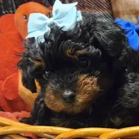 processed/3f6f6a22-ed42-4c9b-97fd-1aca807d6a03/facility/559d5a72-e5c1-4ee1-b42f-6ace47e999ec