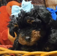 processed/3f6f6a22-ed42-4c9b-97fd-1aca807d6a03/facility/559d5a72-e5c1-4ee1-b42f-6ace47e999ec