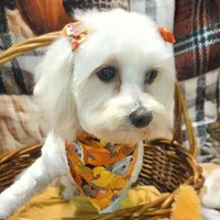 processed/3f6f6a22-ed42-4c9b-97fd-1aca807d6a03/facility/d4a72e53-fd1f-4f67-8077-caf698ba902e