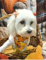 processed/3f6f6a22-ed42-4c9b-97fd-1aca807d6a03/facility/d4a72e53-fd1f-4f67-8077-caf698ba902e