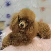 processed/3f6f6a22-ed42-4c9b-97fd-1aca807d6a03/facility/eba6bc85-36f7-4909-a880-af0cc75cdfc7