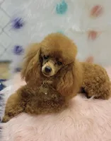 processed/3f6f6a22-ed42-4c9b-97fd-1aca807d6a03/facility/eba6bc85-36f7-4909-a880-af0cc75cdfc7