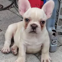 processed/3f773cb8-c476-40a5-a94f-2072003b02a5/facility/4ca568d9-0e5b-4afc-a771-5cf49d8ed969