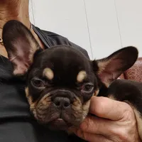 processed/3f773cb8-c476-40a5-a94f-2072003b02a5/facility/8fb9dd75-c2cb-4f4c-af98-3b41793e0ffd