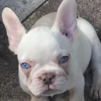 processed/3f773cb8-c476-40a5-a94f-2072003b02a5/facility/96f0b734-f10a-4f6c-ab57-8151af653835