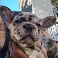 processed/3f773cb8-c476-40a5-a94f-2072003b02a5/facility/a1b4be58-4cc1-43c1-a242-a626c7e41543