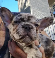 processed/3f773cb8-c476-40a5-a94f-2072003b02a5/facility/a1b4be58-4cc1-43c1-a242-a626c7e41543