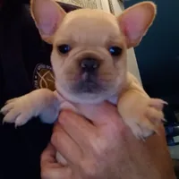 processed/3f773cb8-c476-40a5-a94f-2072003b02a5/facility/eac0b8ce-4da7-4ee1-9fe3-d487f2af866b