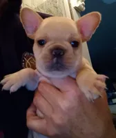 processed/3f773cb8-c476-40a5-a94f-2072003b02a5/facility/eac0b8ce-4da7-4ee1-9fe3-d487f2af866b