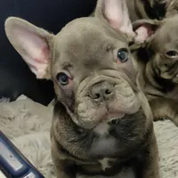 processed/3f773cb8-c476-40a5-a94f-2072003b02a5/facility/ff88f3a9-2c33-4a09-b688-e4f6f947971d