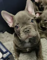 processed/3f773cb8-c476-40a5-a94f-2072003b02a5/facility/ff88f3a9-2c33-4a09-b688-e4f6f947971d