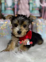 processed/3f87fb24-f5e7-48cd-8e43-4a35c7bdfd54/listing/3c4bbe4f-b924-426c-a85e-cecaf34e46cd/4873d334-009a-49a6-b586-a99acfef79f1