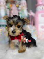 processed/3f87fb24-f5e7-48cd-8e43-4a35c7bdfd54/listing/3c4bbe4f-b924-426c-a85e-cecaf34e46cd/50888217-45ec-428e-930a-eaa34c6f731f