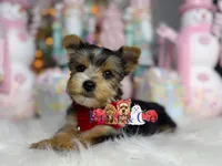 processed/3f87fb24-f5e7-48cd-8e43-4a35c7bdfd54/listing/3c4bbe4f-b924-426c-a85e-cecaf34e46cd/792e5922-44d7-4a93-9680-a74ab224a1c1