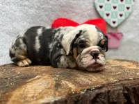 processed/3f88f396-ff21-46a3-930e-a758abf36524/listing/09624877-a141-4022-a3f0-52848ef87c5d/053e5804-b7ce-4be3-a702-a6366f958374