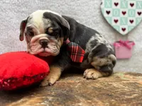 processed/3f88f396-ff21-46a3-930e-a758abf36524/listing/09624877-a141-4022-a3f0-52848ef87c5d/6afc530c-ca4e-42d1-9d0e-dd93aff9a960