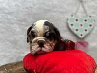 processed/3f88f396-ff21-46a3-930e-a758abf36524/listing/09624877-a141-4022-a3f0-52848ef87c5d/c414f232-9533-43a8-b569-4e89c4d61094