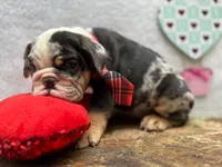 processed/3f88f396-ff21-46a3-930e-a758abf36524/listing/09624877-a141-4022-a3f0-52848ef87c5d/fae0d478-f944-4c94-8d1a-8878dbf97b7e