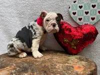 processed/3f88f396-ff21-46a3-930e-a758abf36524/listing/ccfc0b9a-d088-4b77-b8e4-675d43c7d4df/1e40588e-2595-4287-9227-255048b69591