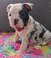 processed/3f88f396-ff21-46a3-930e-a758abf36524/listing/ccfc0b9a-d088-4b77-b8e4-675d43c7d4df/465c1d15-017a-4814-aa2e-3269df312f80