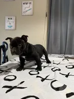 processed/3f8c31ac-a0d4-4948-ac27-08ce3bf3f73b/listing/e289b70f-8f15-4d47-9224-d5e030e849d4/12ce39cc-ced5-463a-b088-ecab291826c8