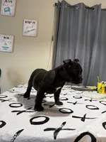 processed/3f8c31ac-a0d4-4948-ac27-08ce3bf3f73b/listing/e289b70f-8f15-4d47-9224-d5e030e849d4/542fb230-4310-481b-ae32-045036775731